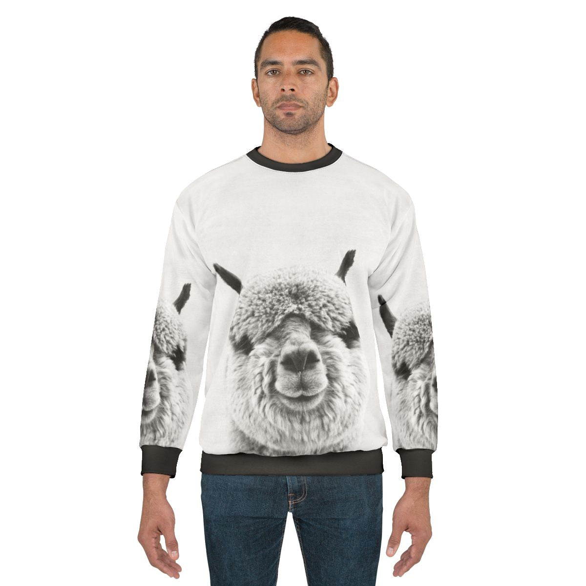 Alpaca Sweatshirt