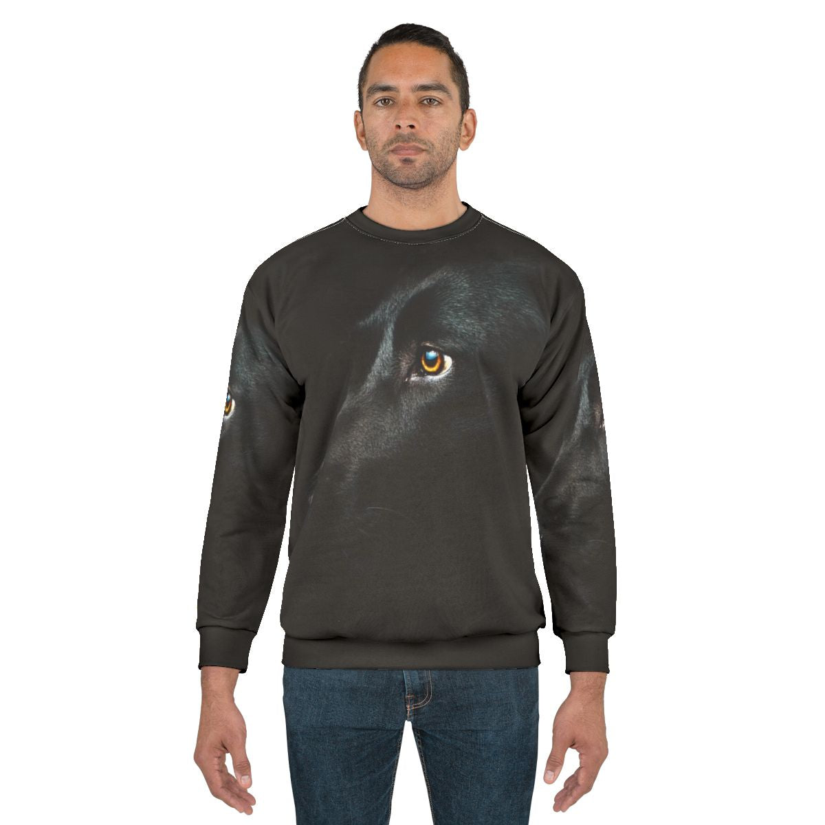 Stylish black labrador dog wearing a comfortable sweatshirt