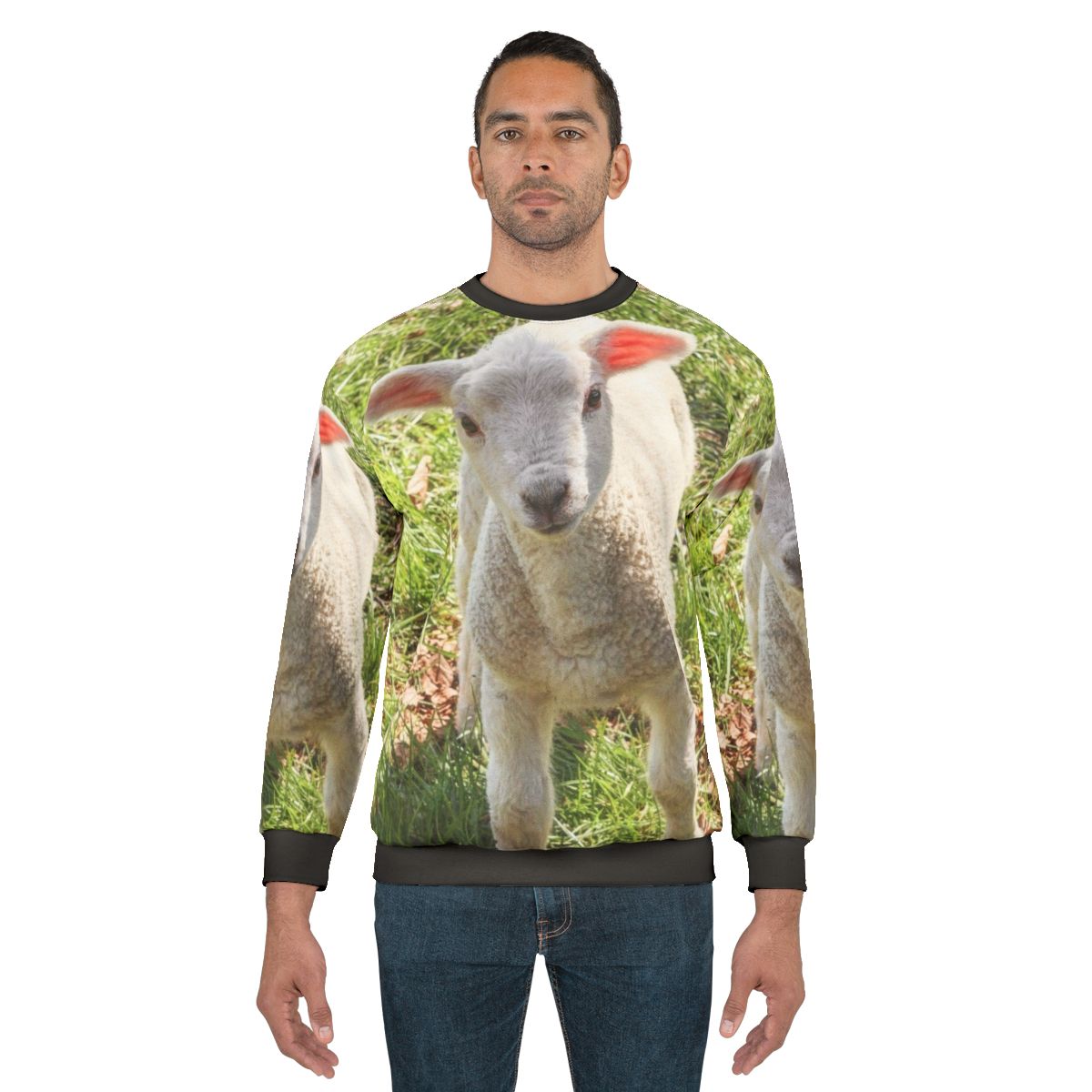 Cute baby lamb spring sweatshirt