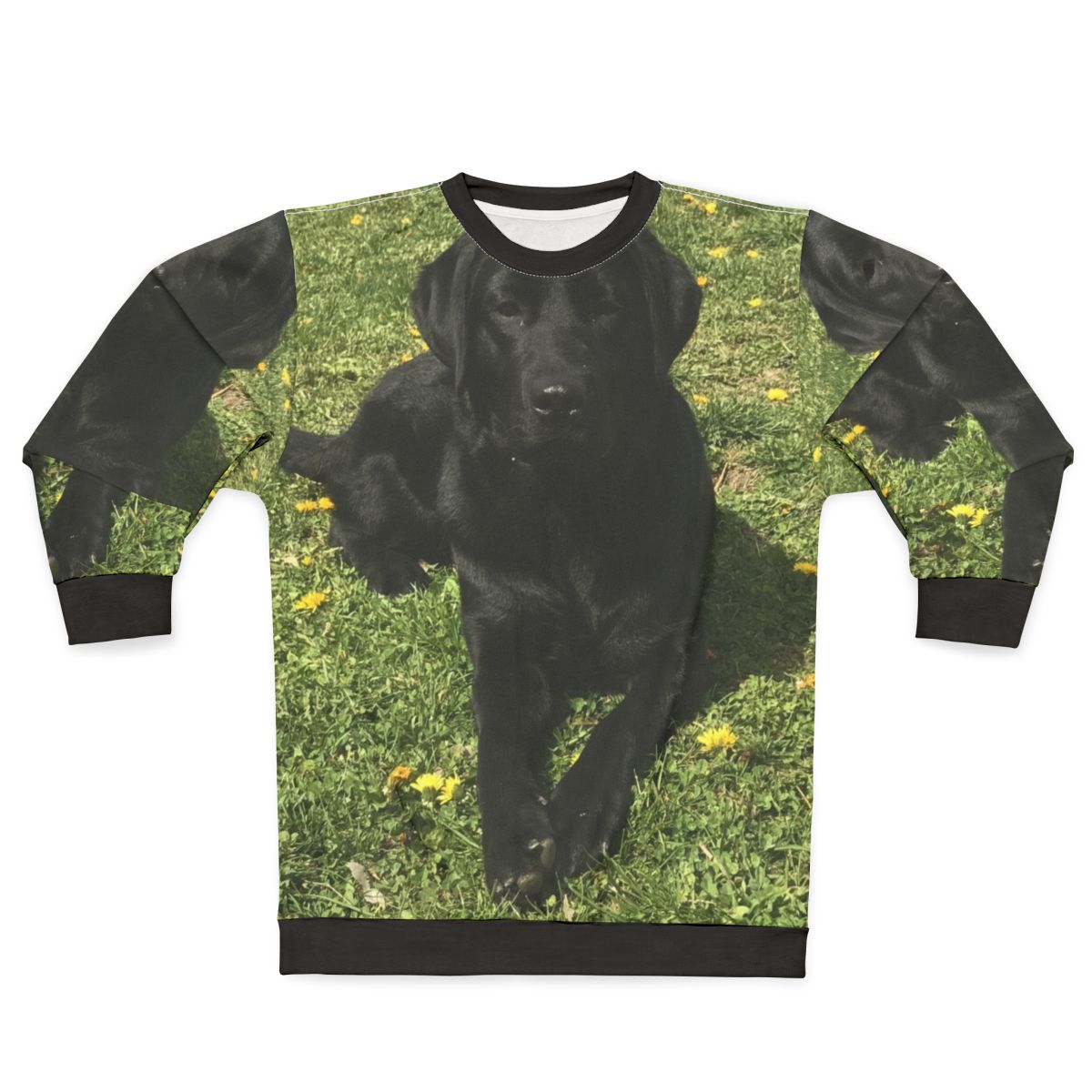 Black Labrador Dog Wearing Comfortable Sweatshirt
