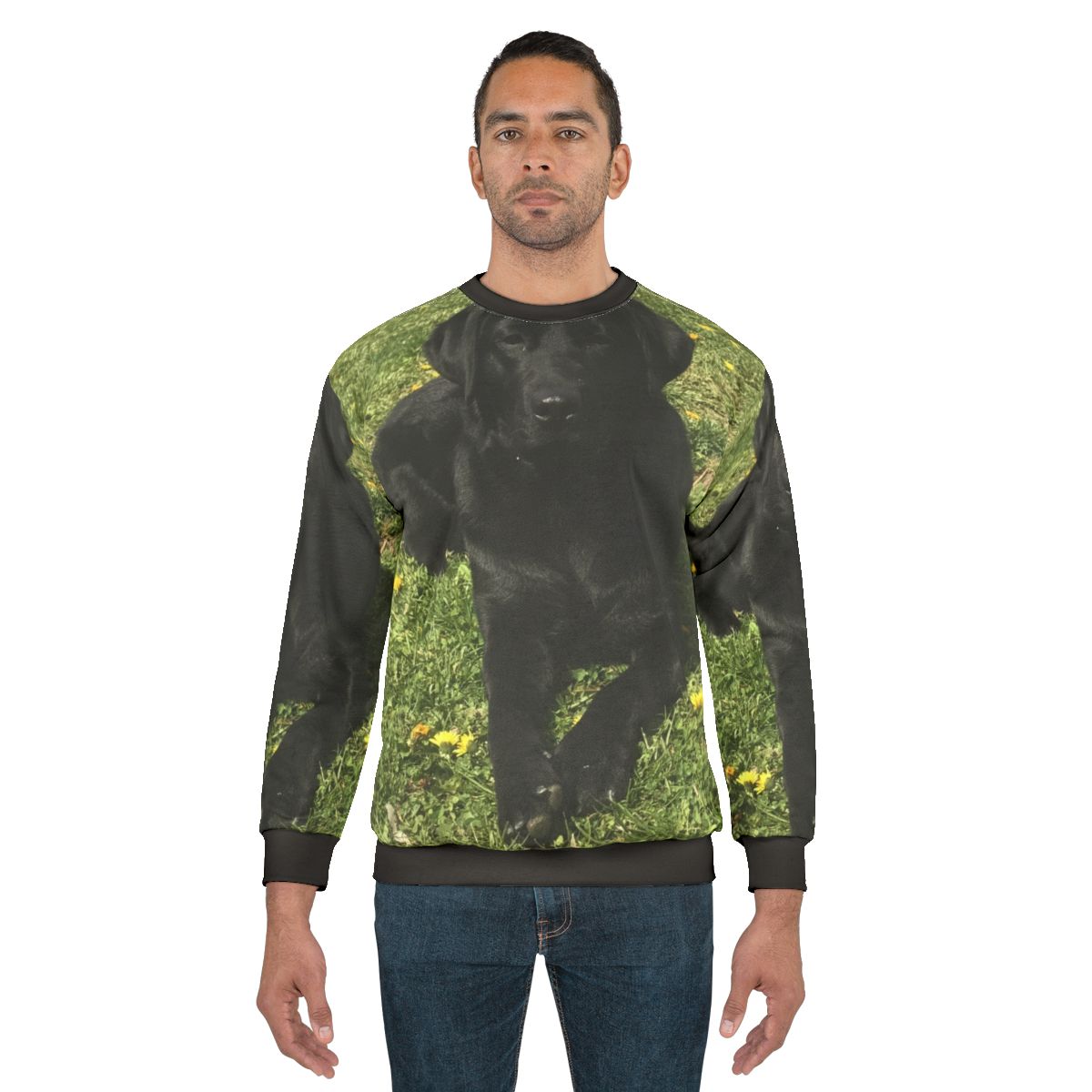 Black Labrador Dog Wearing Comfortable Sweatshirt