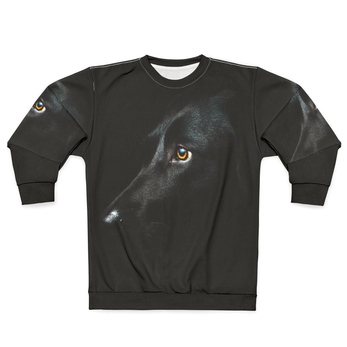 Stylish black labrador dog wearing a comfortable sweatshirt
