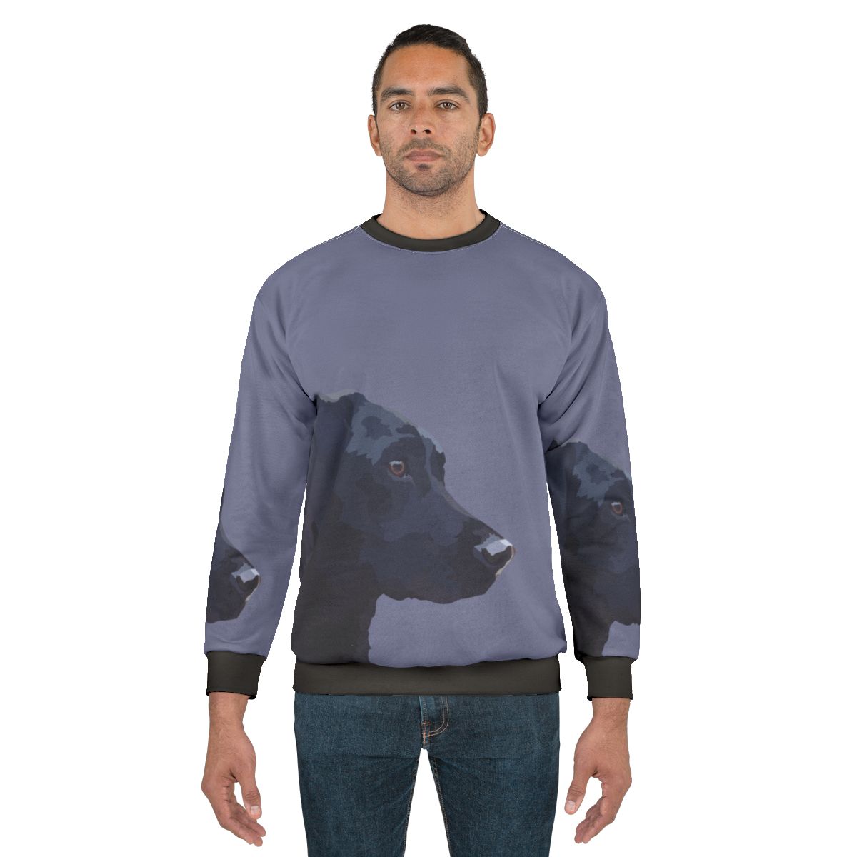 Black Labrador Wearing a Comfortable Sweatshirt