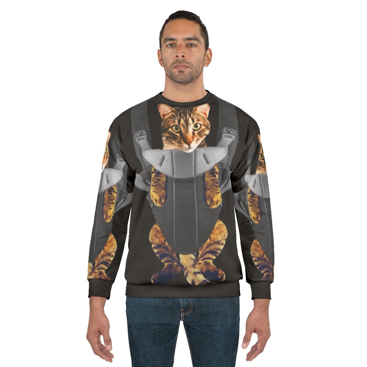 Cute tabby cat in a baby carrier on a sweatshirt