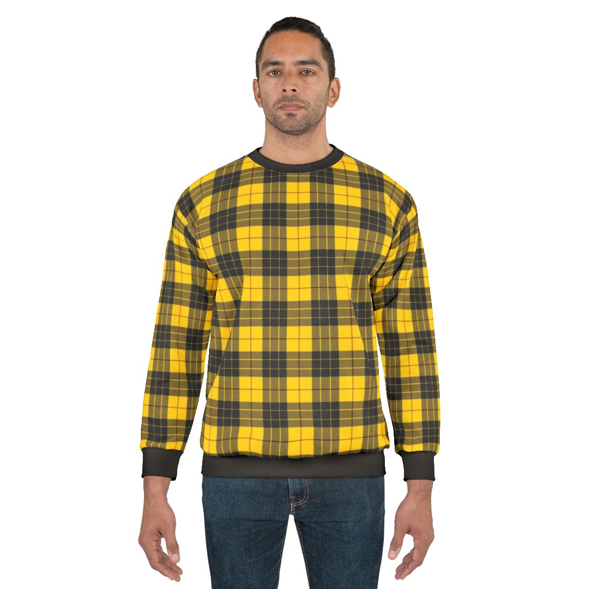 Clan Macleod of Lewis tartan sweatshirt