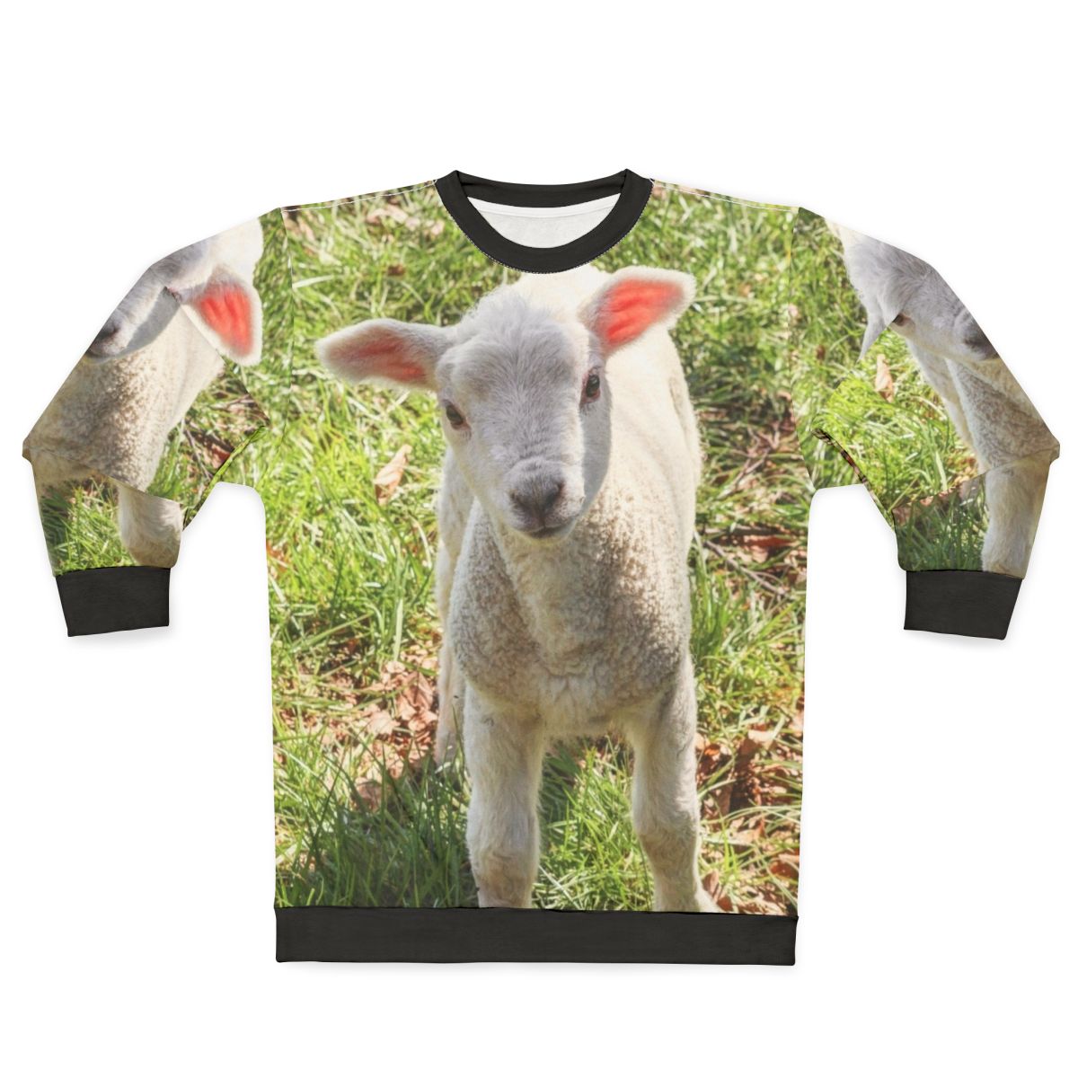 Cute baby lamb spring sweatshirt