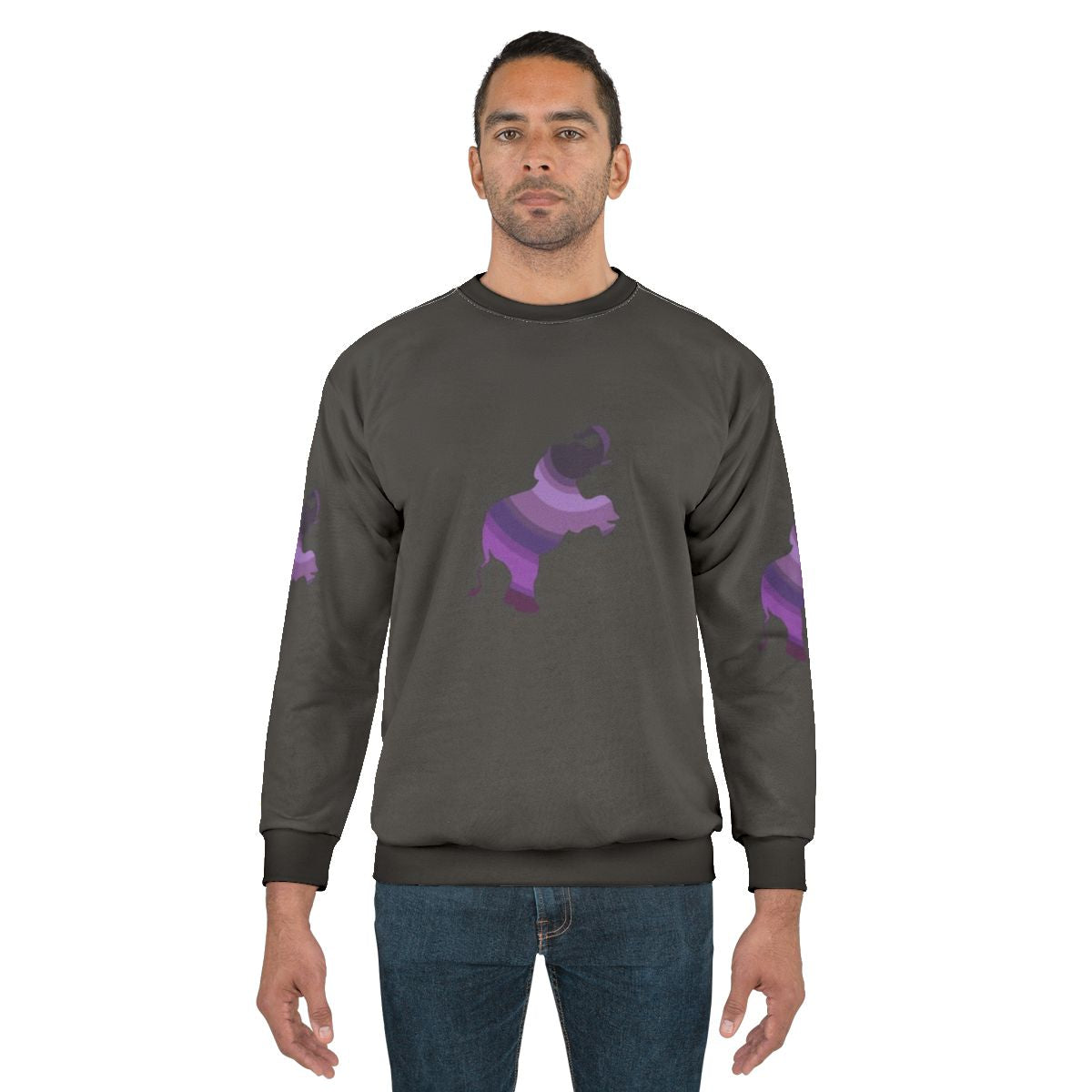 Colorful elephant legendary animals sweatshirt design