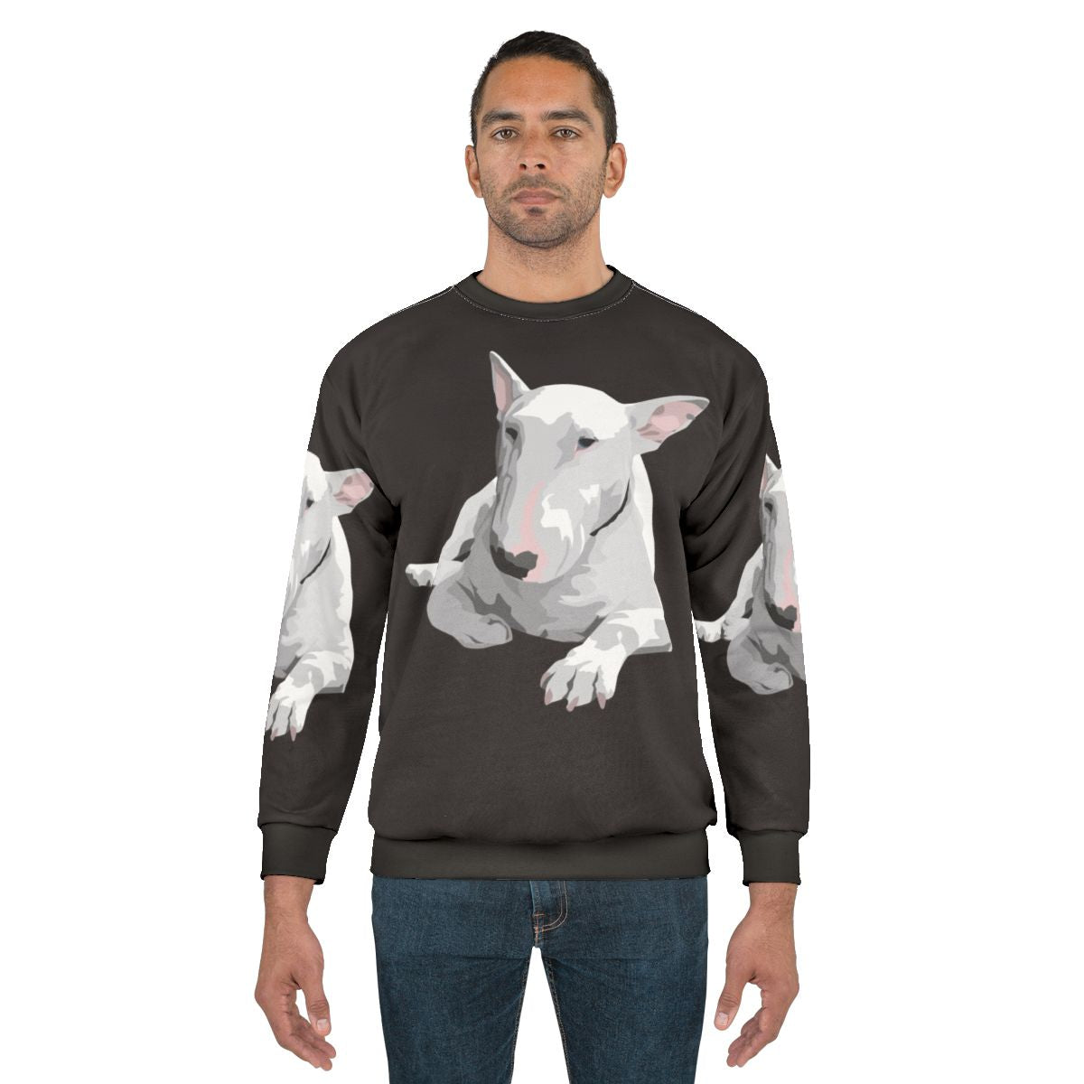 English Bull Terrier wearing a sweatshirt