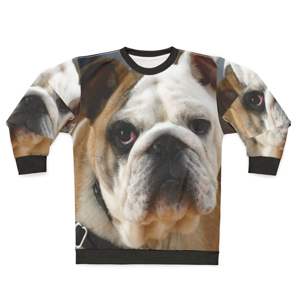 English Bulldog wearing a cozy sweatshirt