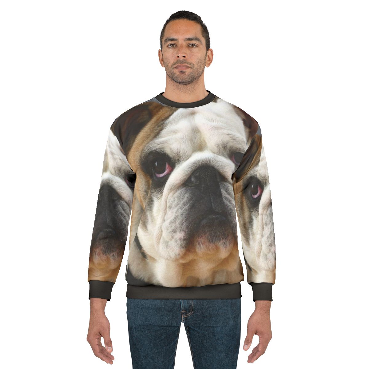 English Bulldog wearing a cozy sweatshirt