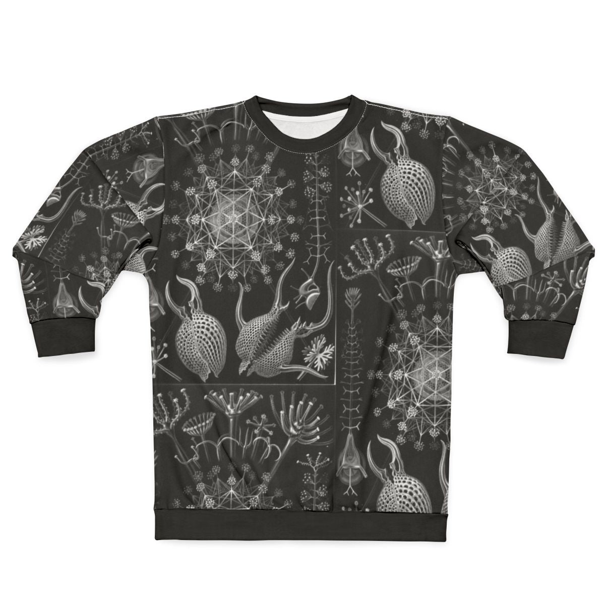 Ernst Haeckel Phaeodaria Illustration Sweatshirt
