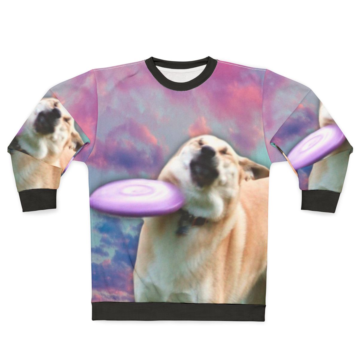 Frisbee Doge Vaporwave Aesthetic Sweatshirt
