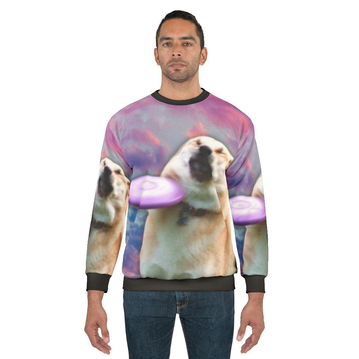 Frisbee Doge Vaporwave Aesthetic Sweatshirt