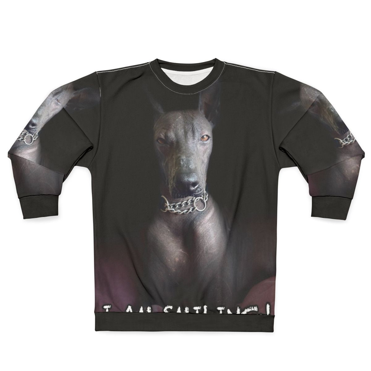 Xoloitzcuintle dog on a smiling sweatshirt