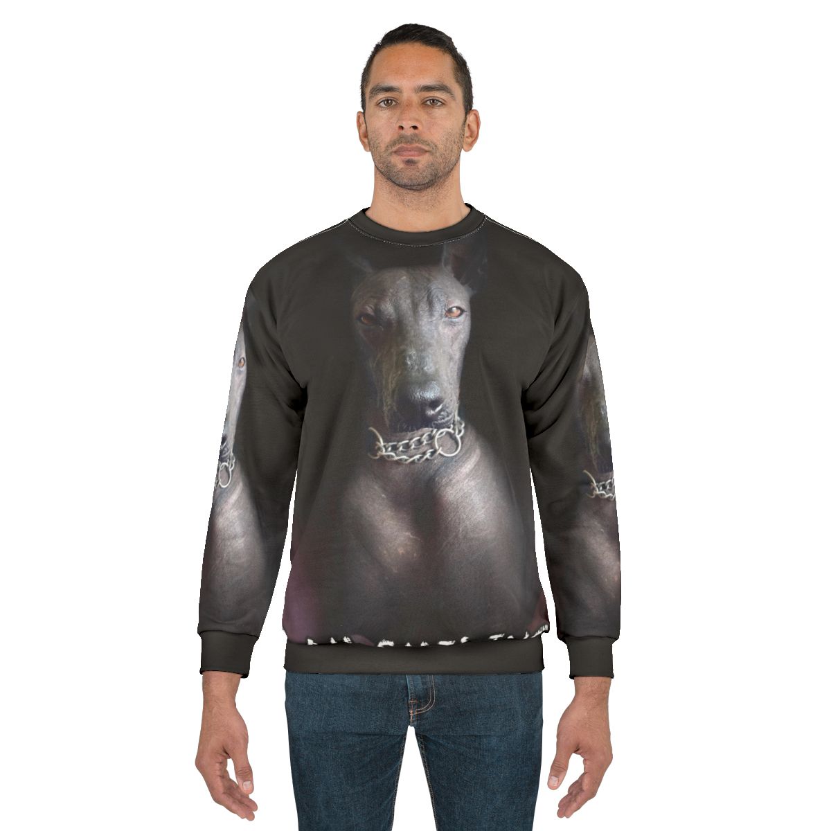 Xoloitzcuintle dog on a smiling sweatshirt