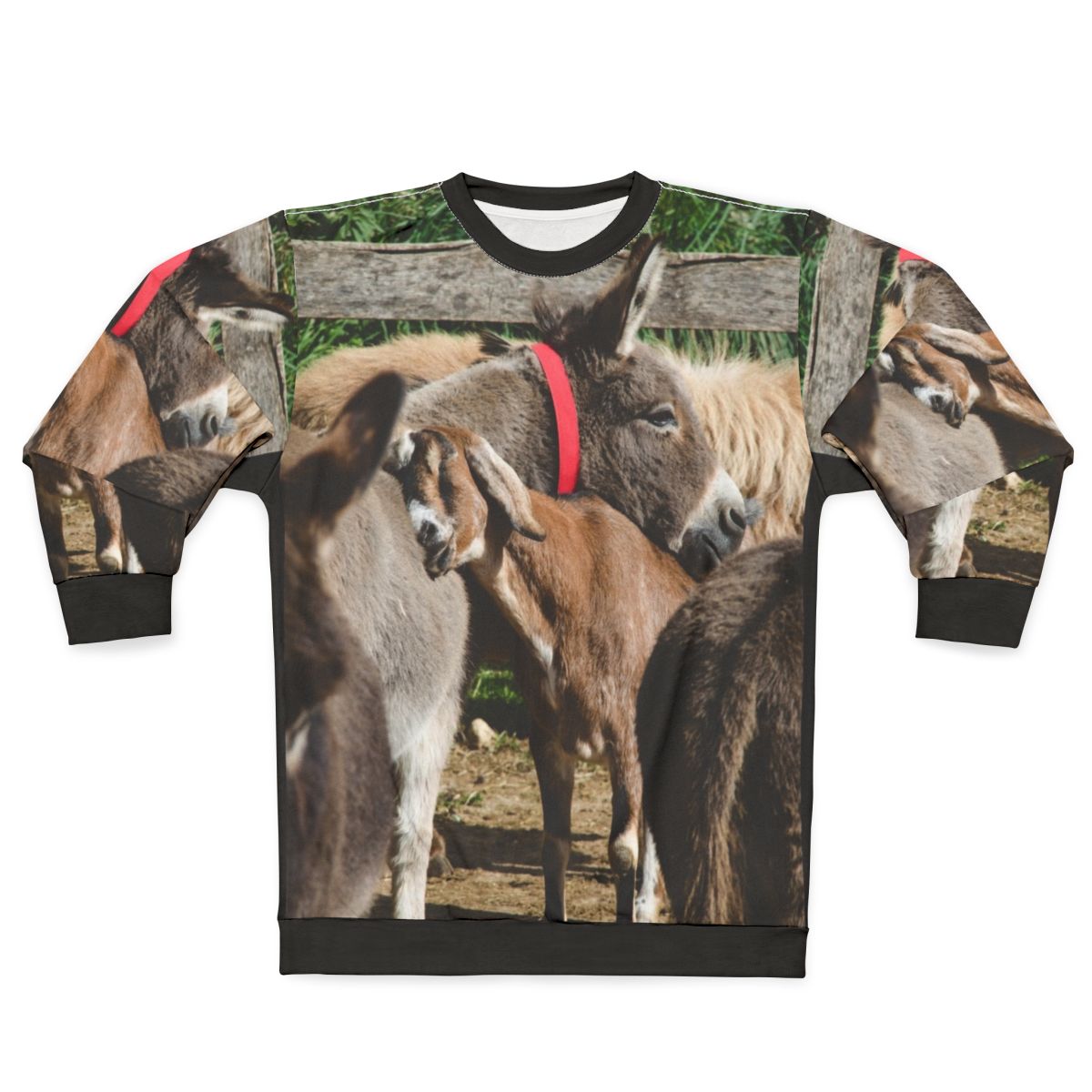 Donkey Sanctuary Sweatshirt