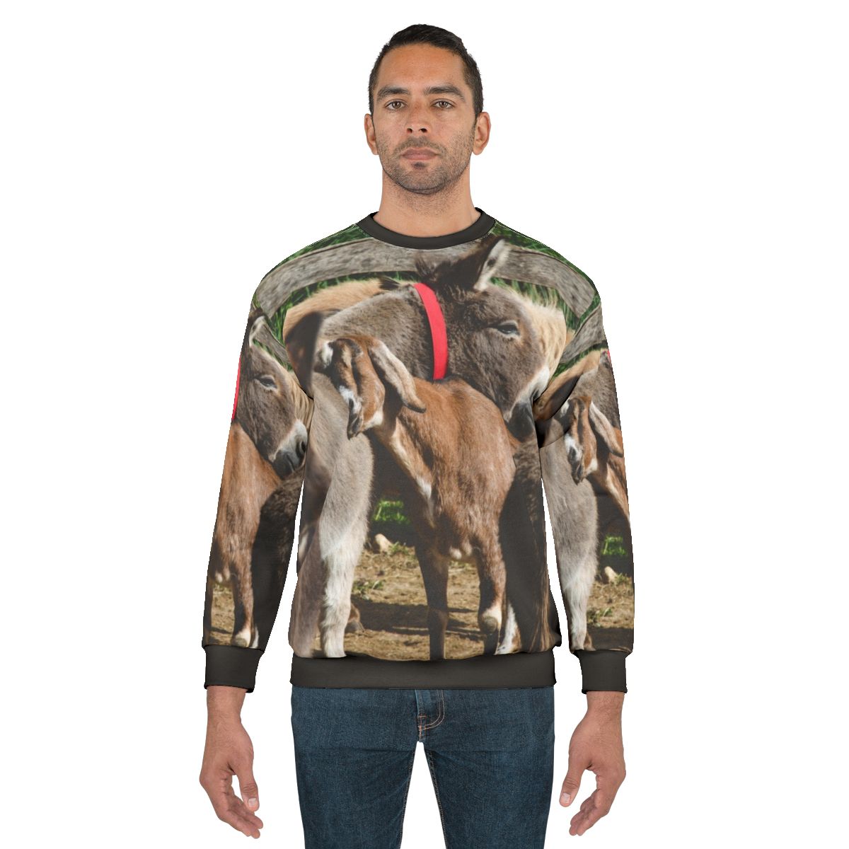 Donkey Sanctuary Sweatshirt