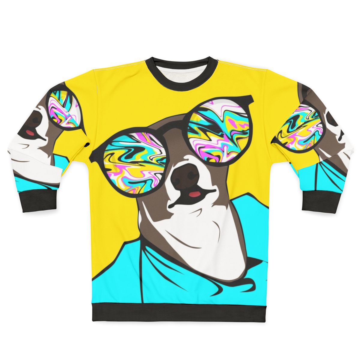 Kermit the dog graphic printed on a cozy sweatshirt