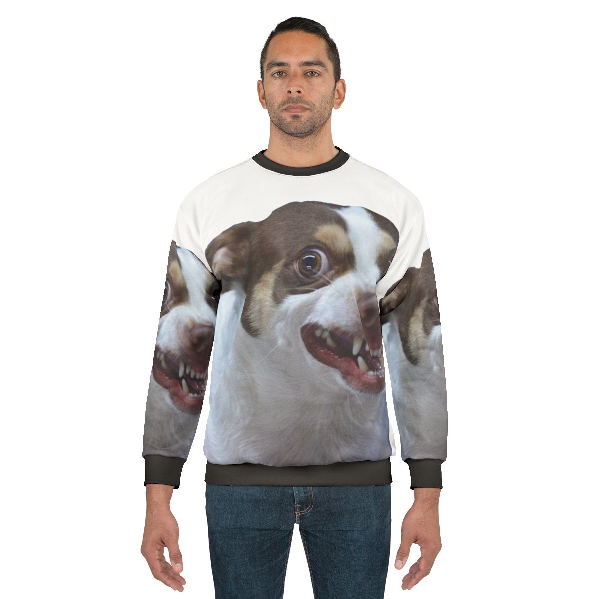 Mr Bubz Chihuahua Meme Funny Dog Sweatshirt