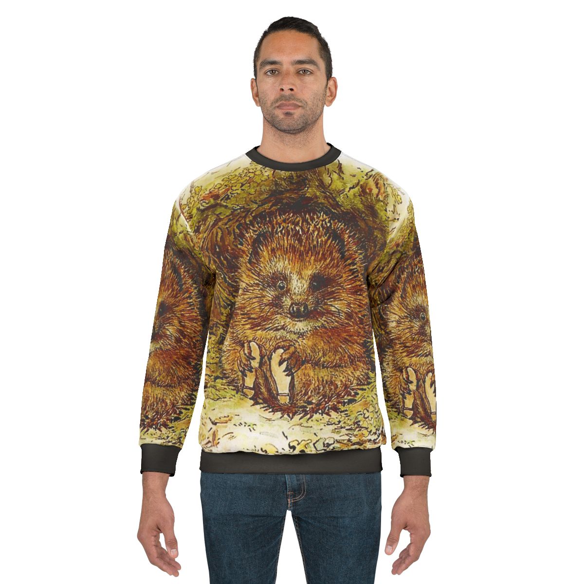 Beatrix Potter's Old Mr Pricklepin Hedgehog Design Sweatshirt