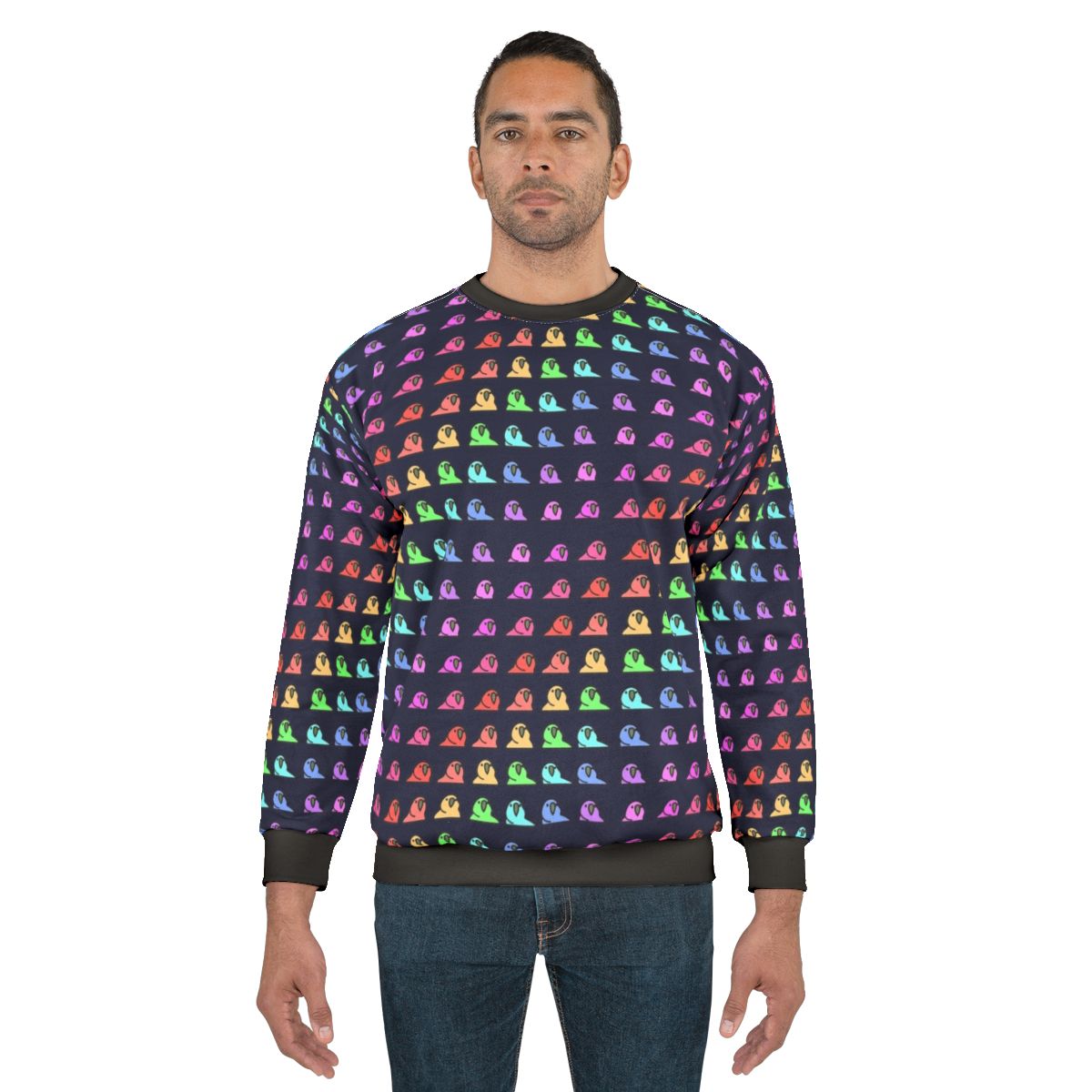 Colorful sweatshirt with party parrot rainbow design