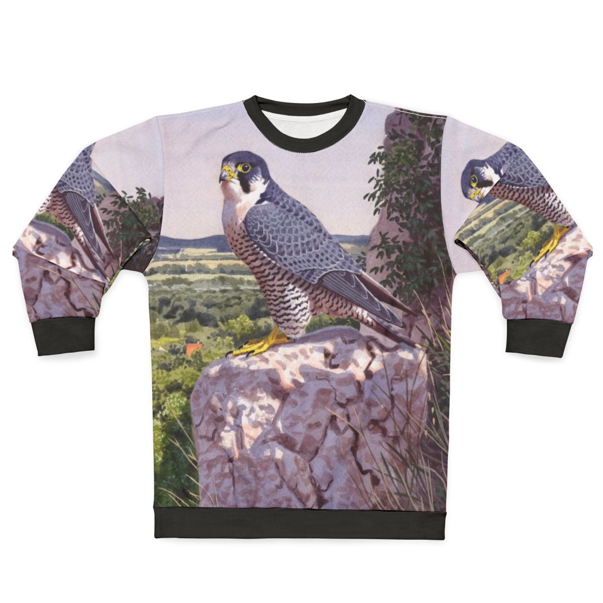 Peregrine falcon inspired sweatshirt with bird art