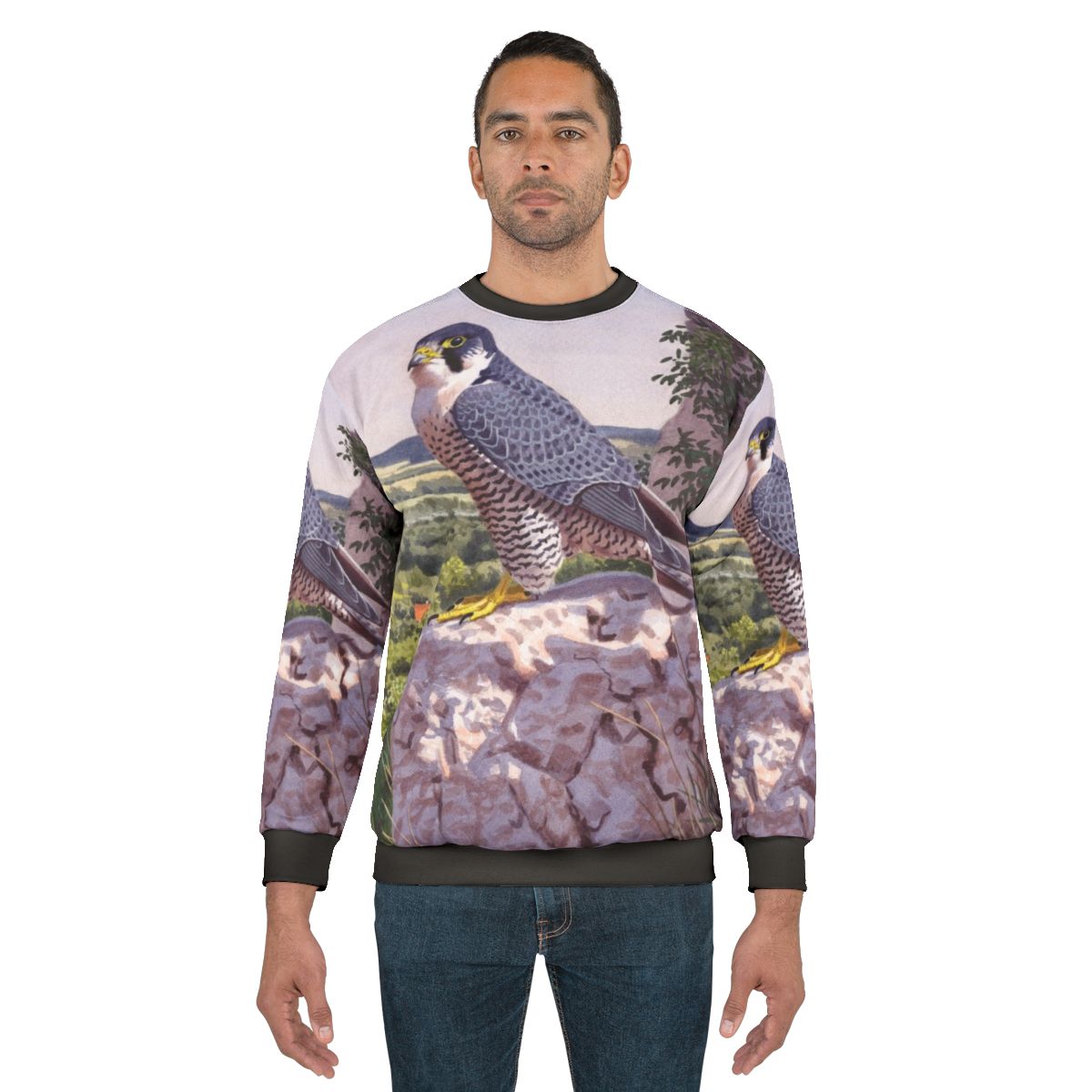 Peregrine falcon inspired sweatshirt with bird art