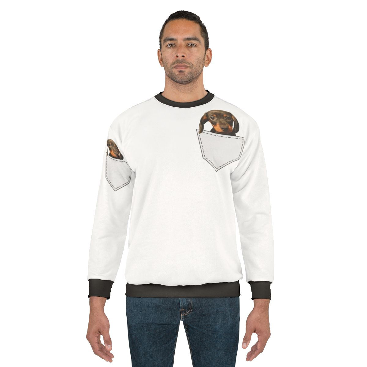 Dachshund wearing a cozy sweatshirt with a pocket