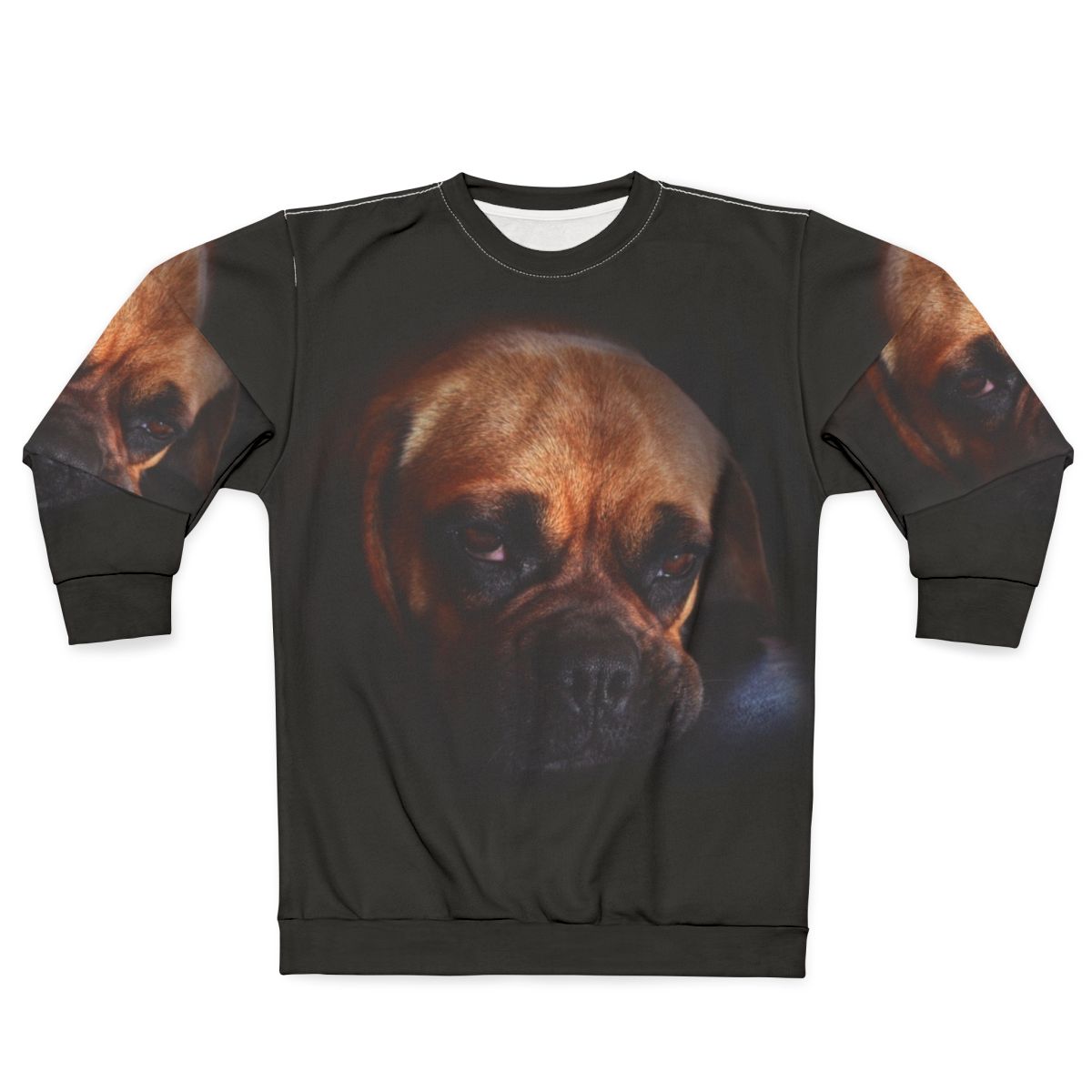 Cute puggle dog wearing a cozy sweatshirt