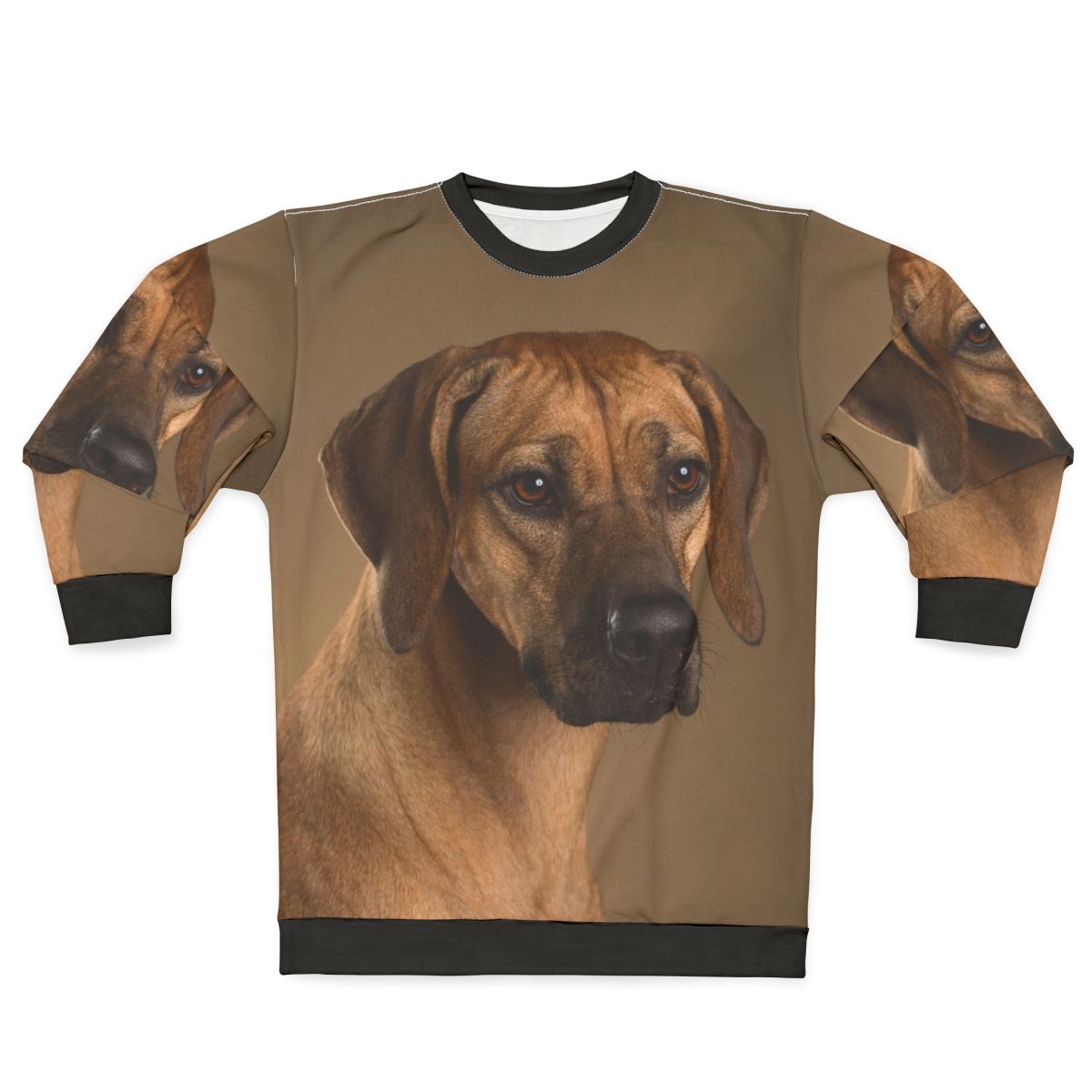 Rhodesian Ridgeback dog portrait with soulful eyes