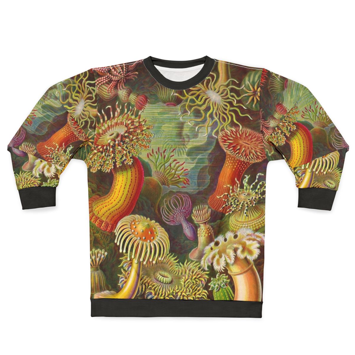 Sea anemone inspired sweatshirt featuring artwork by Ernst Haeckel
