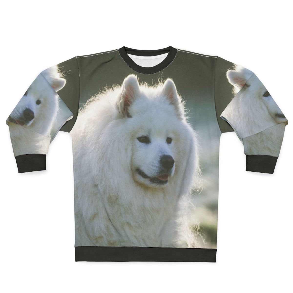Smiling Samoyed wearing a cozy sweatshirt