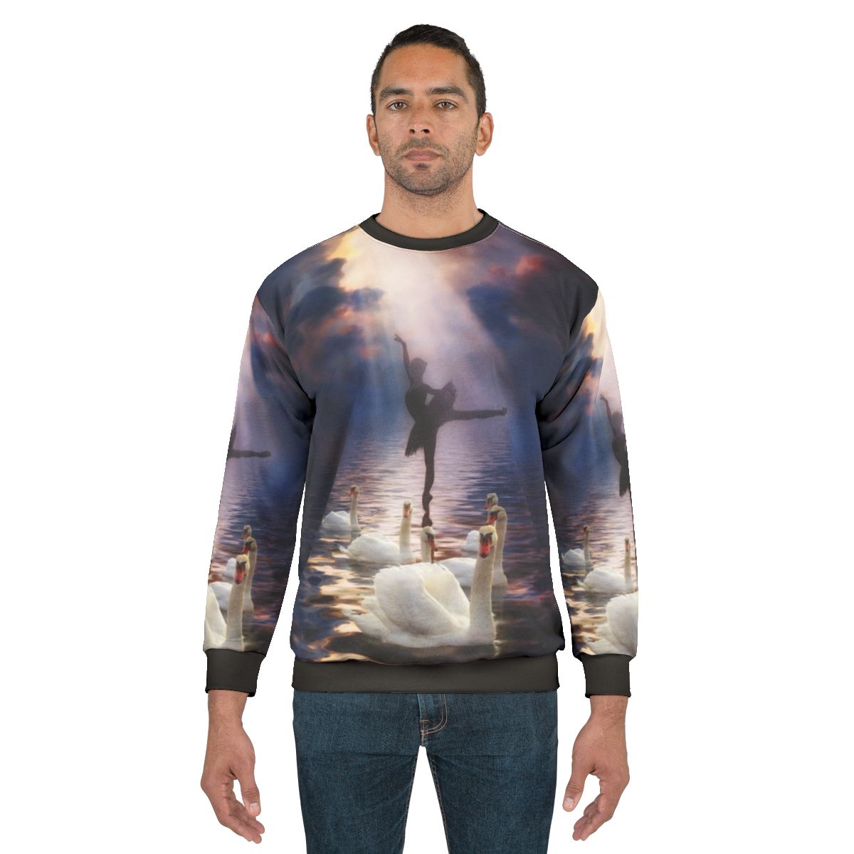 Swan Lake inspired sweatshirt with dramatic sky and light