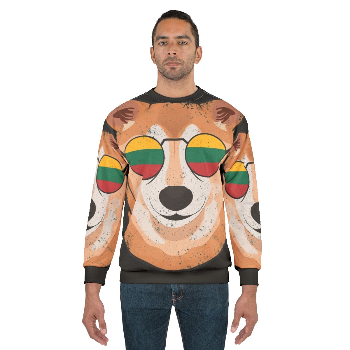 Vintage patriotic sweatshirt with a shiba inu and Lithuanian flag design