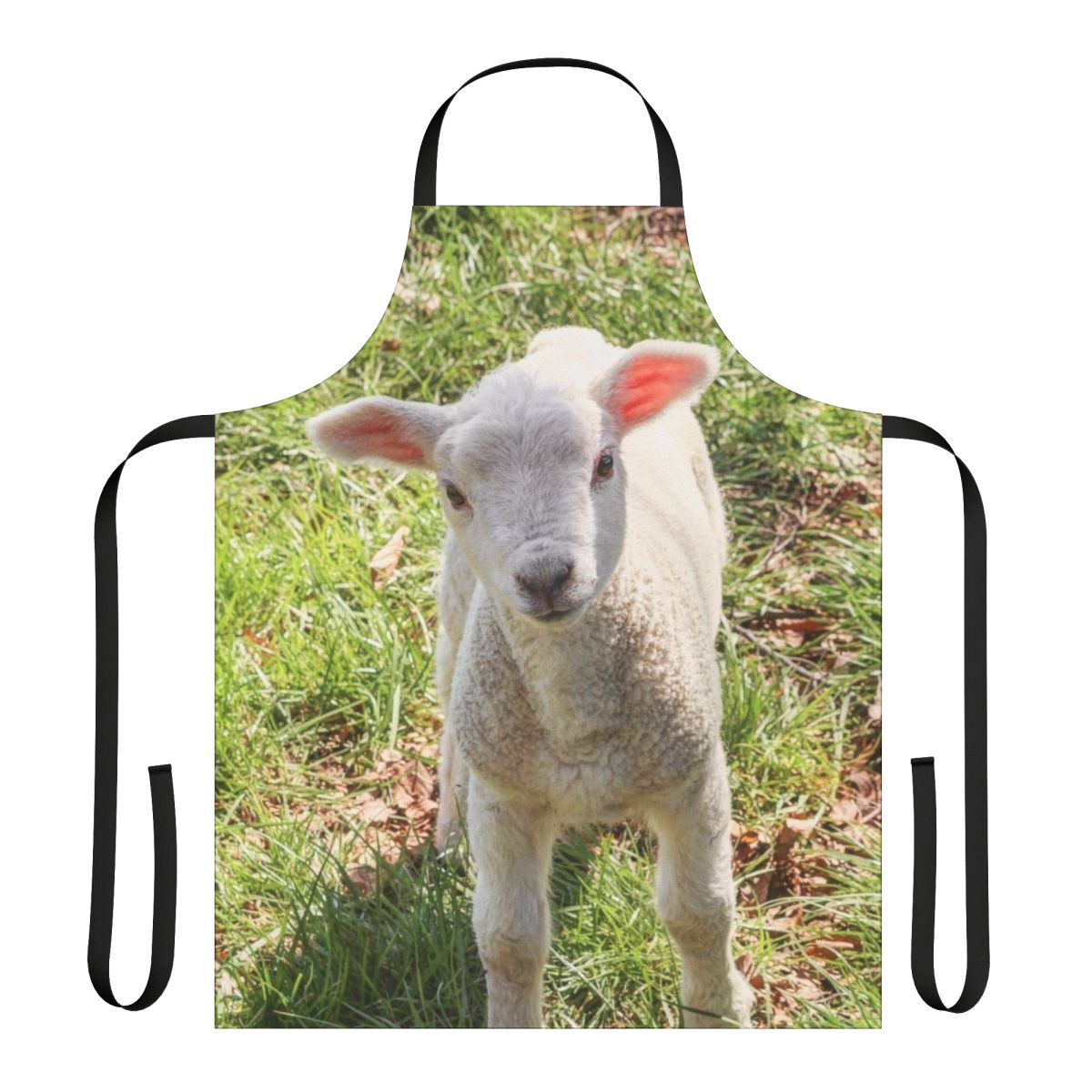 A close-up photo of a cute, young baby lamb standing in a grassy, pastoral setting.