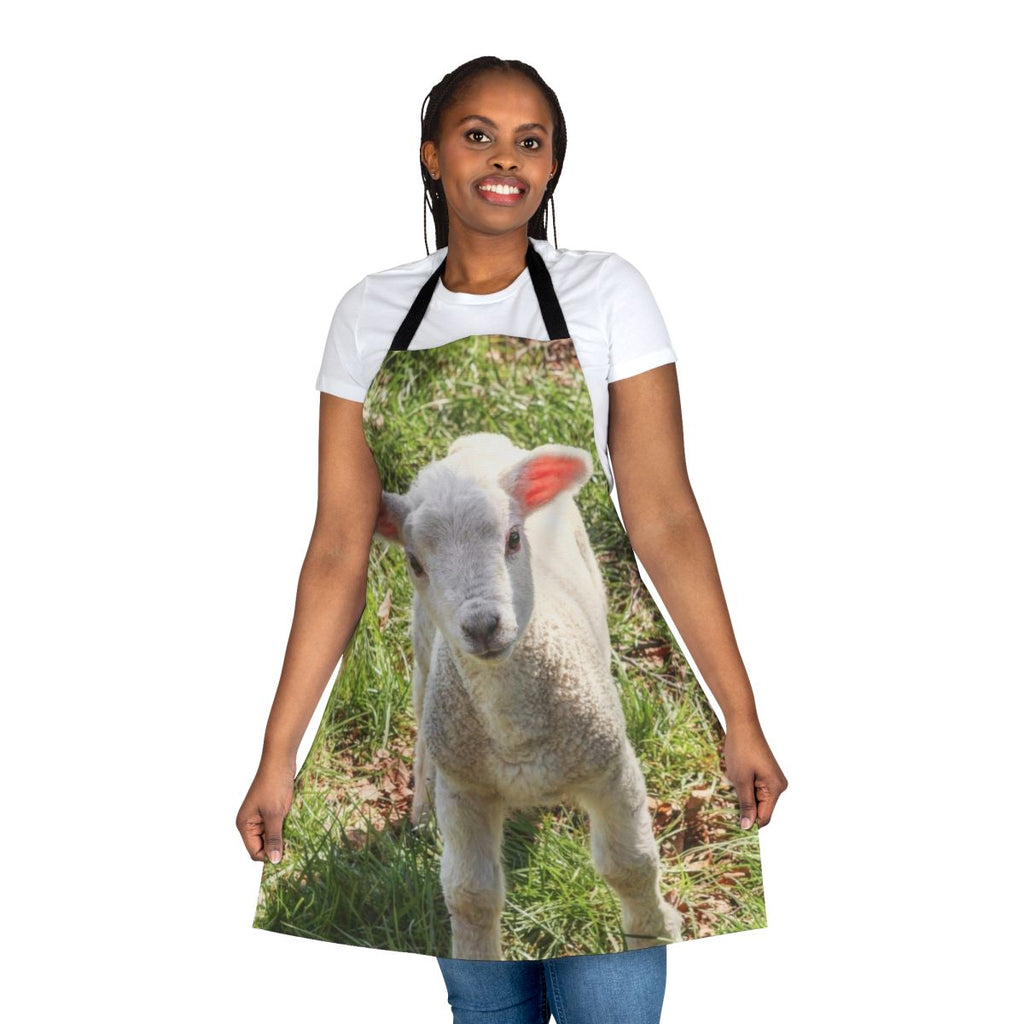A close-up photo of a cute, young baby lamb standing in a grassy, pastoral setting.