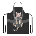 Tabby cat sitting in a baby carrier attached to an apron