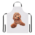 Apron featuring an adorable cavapoo, labradoodle, goldendoodle poodle mix dog.