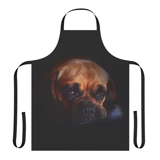 Cute puggle dog wearing an adorable apron