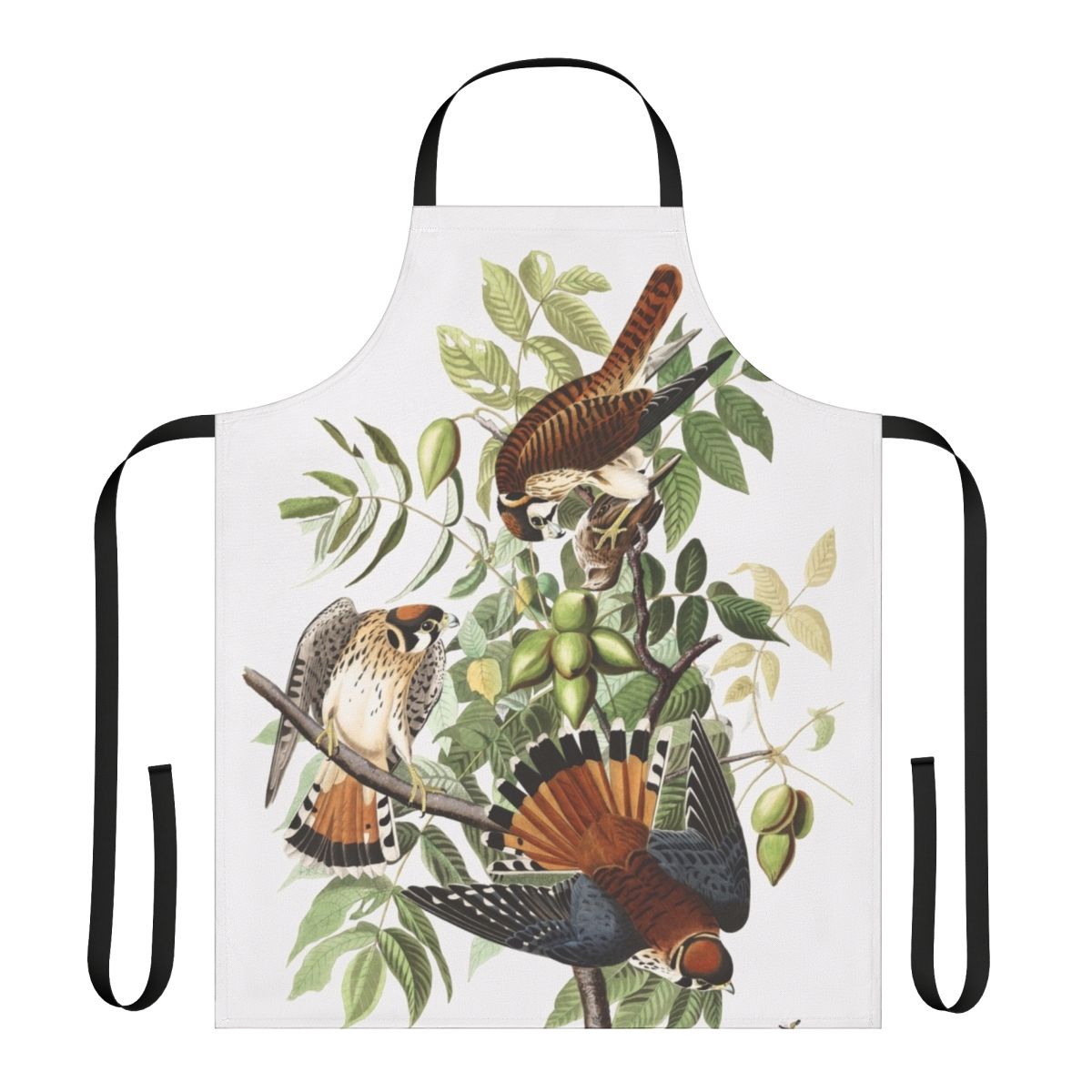 An apron featuring a detailed illustration of an American Kestrel, a small bird of prey, in the style of renowned naturalist artist John James Audubon.