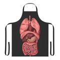 Apron featuring a detailed watercolor illustration of the human internal organs, including the heart, lungs, digestive system, and lymphatic system.