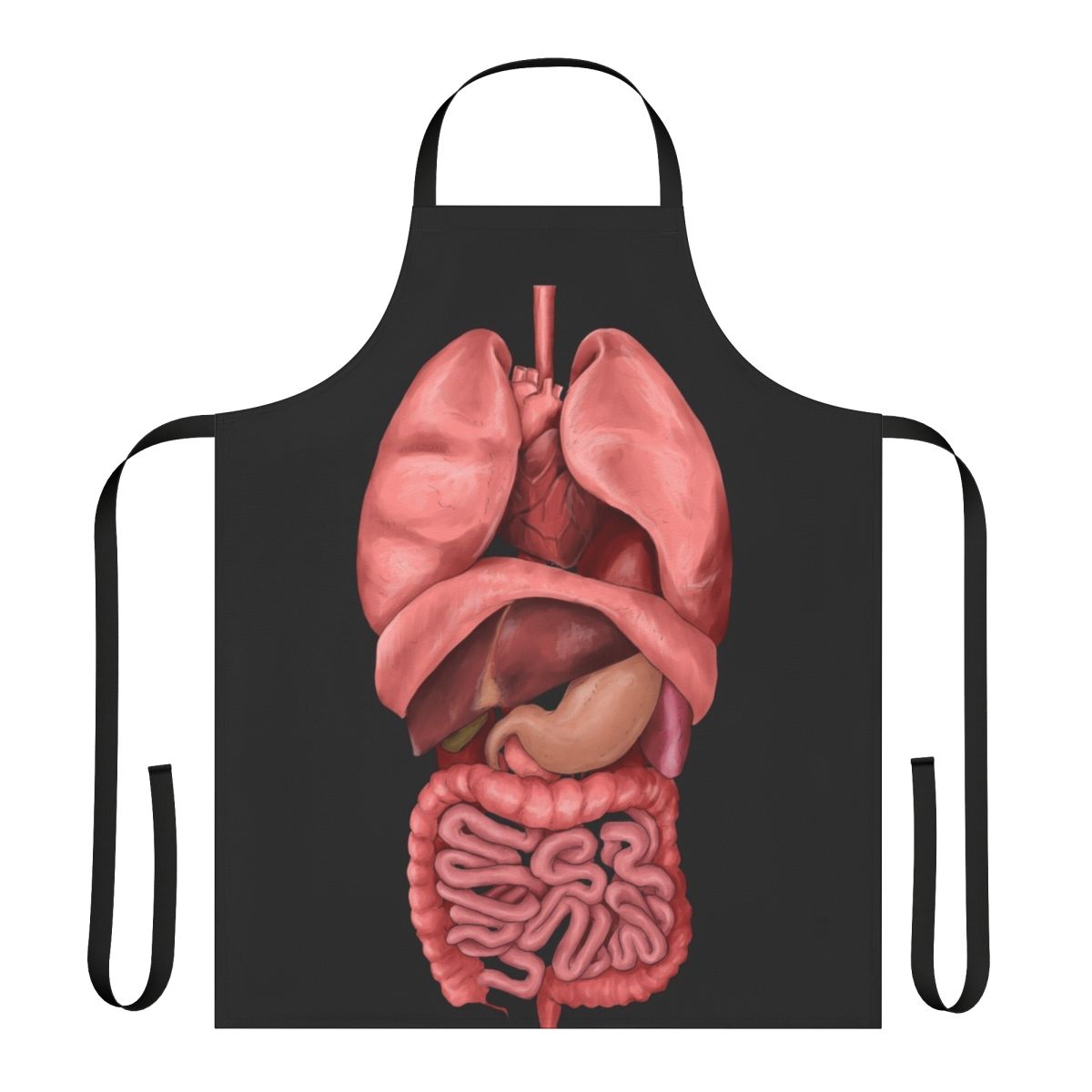 Apron featuring a detailed watercolor illustration of the human internal organs, including the heart, lungs, digestive system, and lymphatic system.