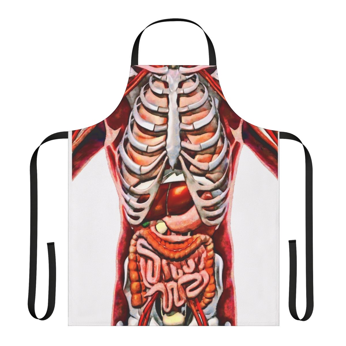 Anatomical skeleton apron showing detailed human internal organs and digestive/respiratory systems