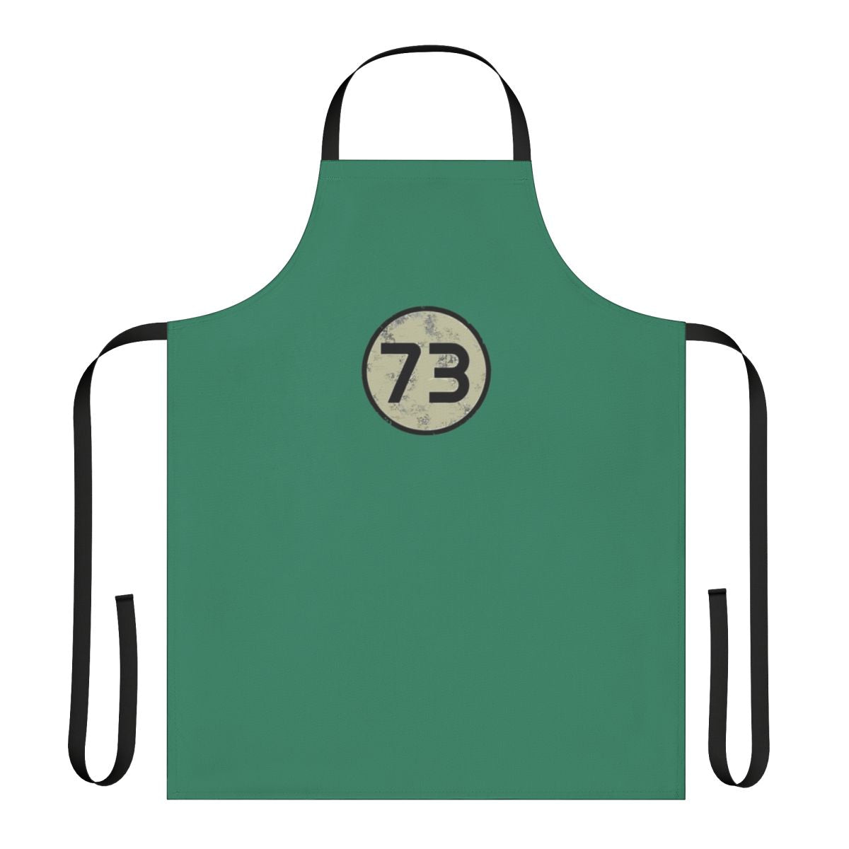 Big Bang Theory Inspired Apron with Sheldon Cooper and Science Iconography