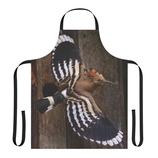 Hoopoe bird in flight on a black and orange apron