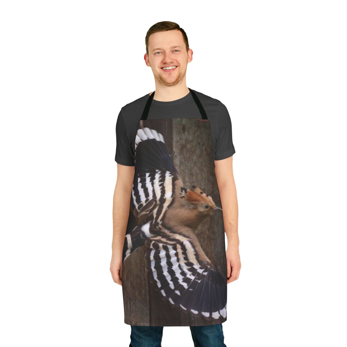 Hoopoe bird in flight on a black and orange apron