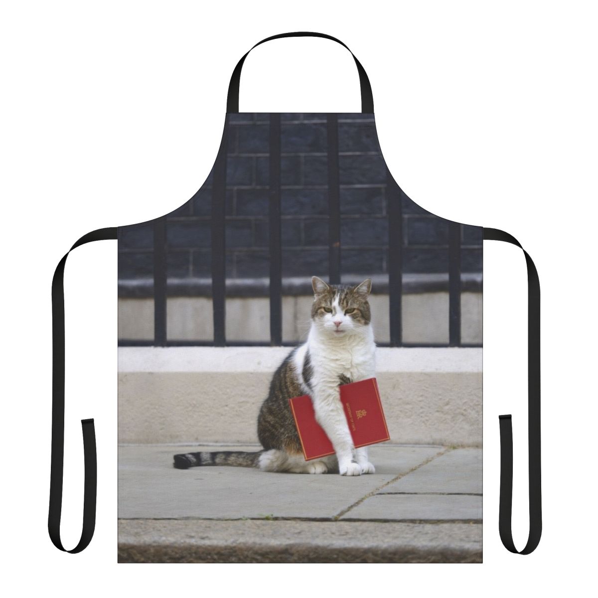 Illustration of Larry the cat wearing a red file apron