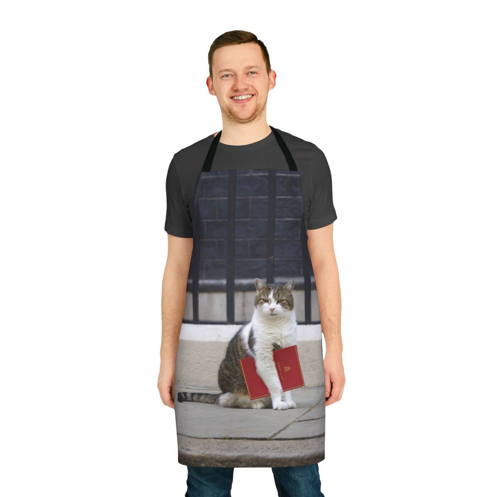 Illustration of Larry the cat wearing a red file apron