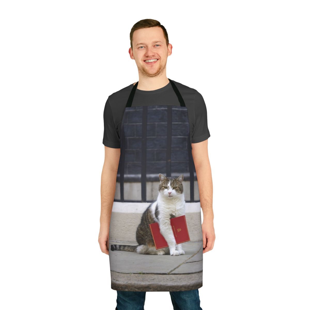 Illustration of Larry the cat wearing a red file apron