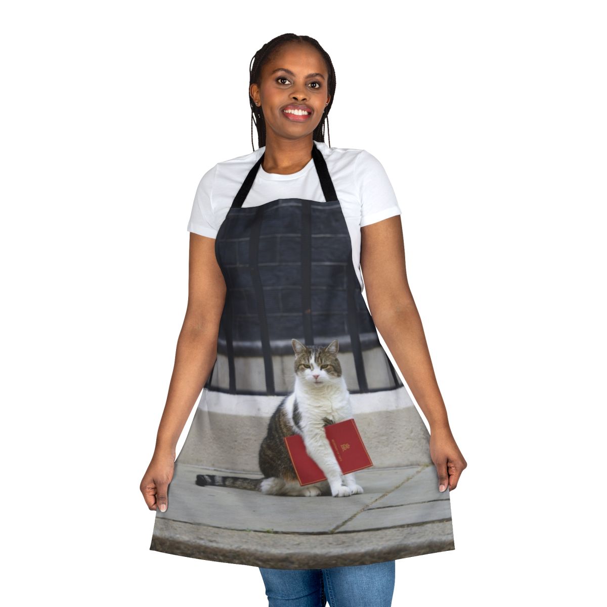 Illustration of Larry the cat wearing a red file apron